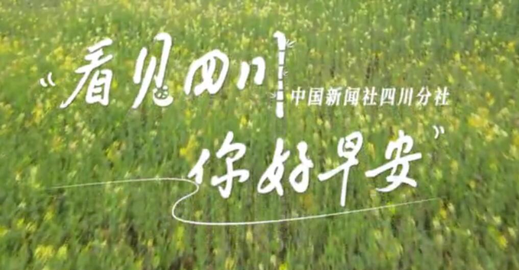解说自贡灯会开启超长待机