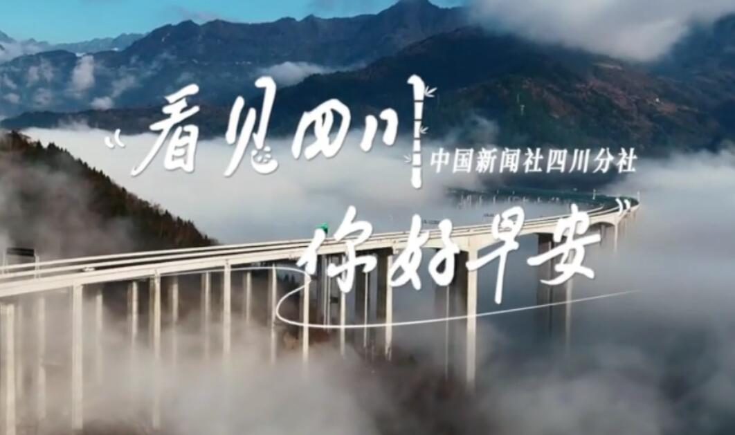 青石板路与古宅院落尽显温润春意