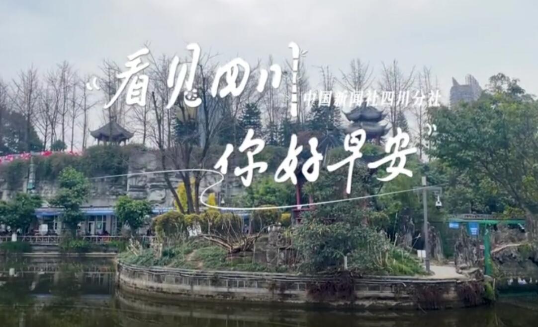 与锦绣天府电视塔的现代剪影相映成趣