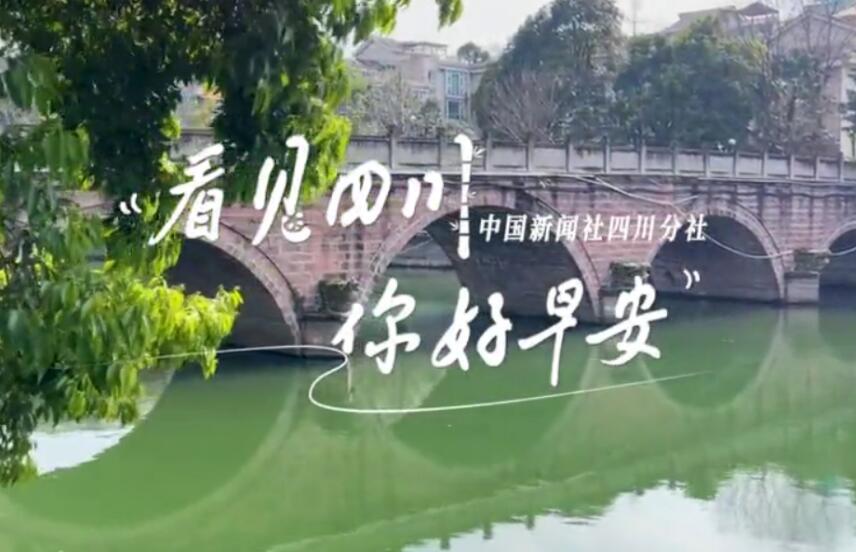 高大的泡桐树缀满钟形花冠
