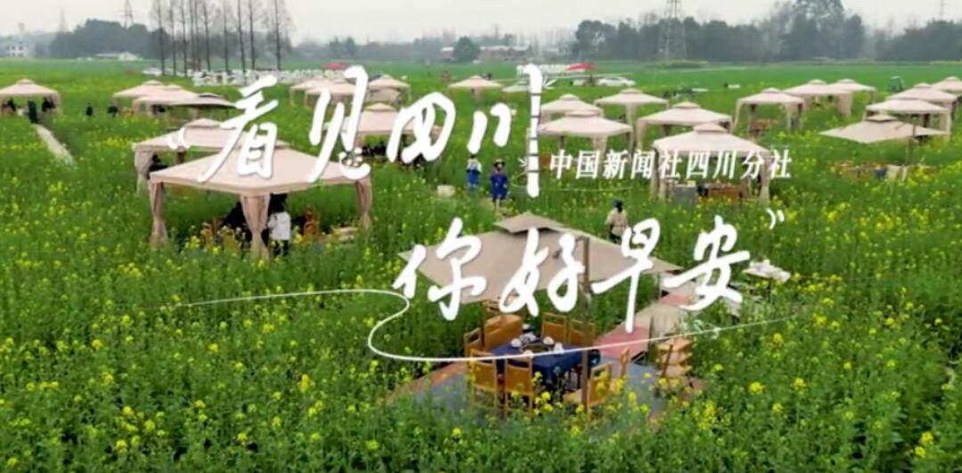 解说平武报恩寺百年玉兰迎来盛花期