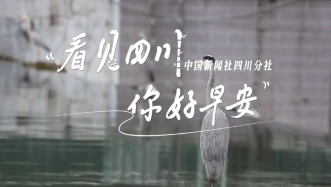 继续了解看见盈盈彩app下载限时优惠
