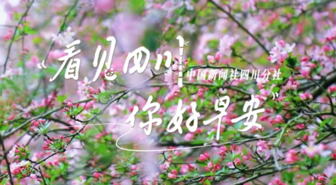 盈盈彩app官网