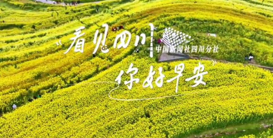 一芽一芽往外窜