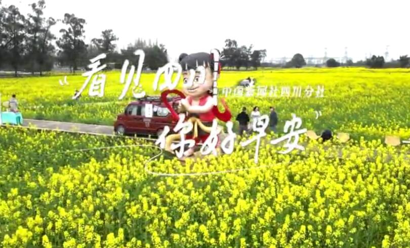 数十张火锅桌错落有致地摆放在花海中