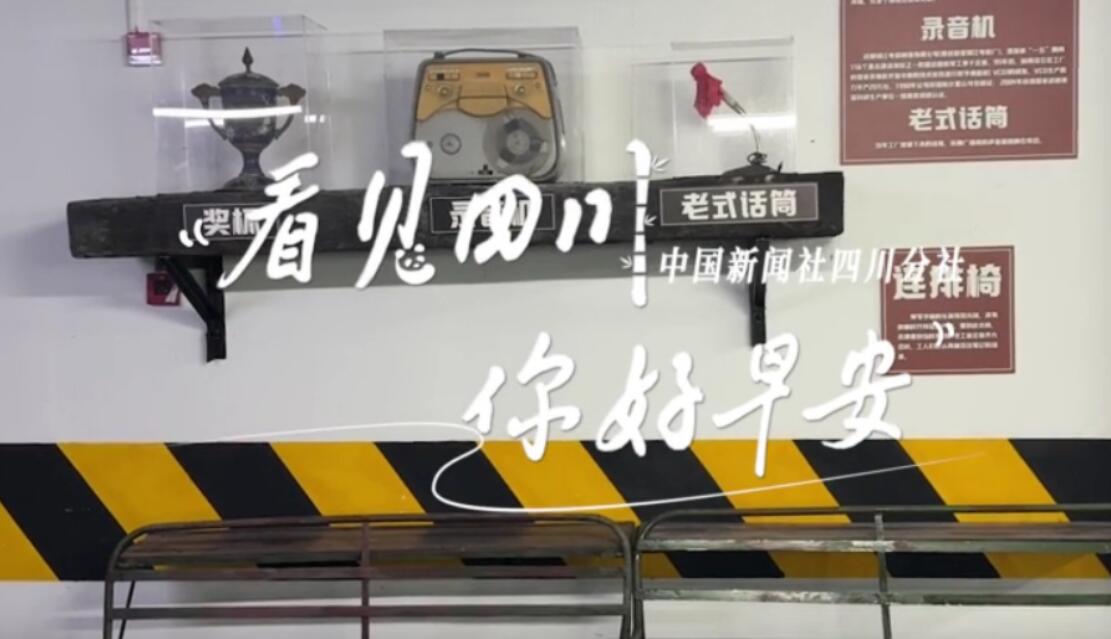 洁白的花朵缀满枝头