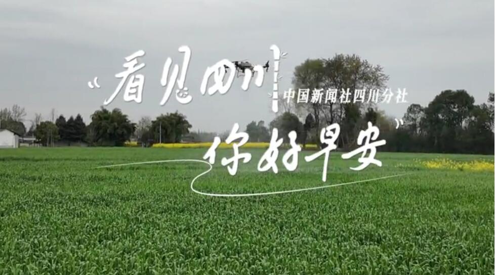 持续开放至第二季度