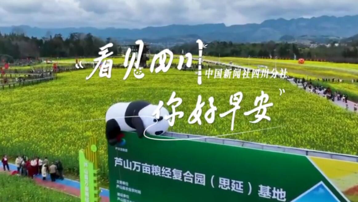 看见盈盈彩app下载限时优惠