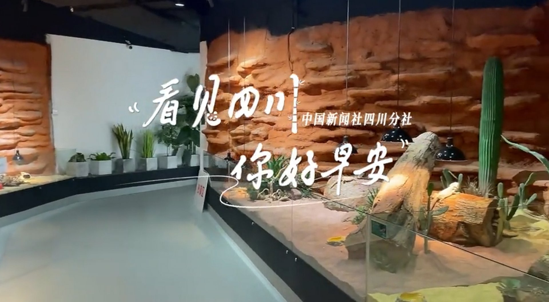 相关阅读看见盈盈彩app下载限时优惠