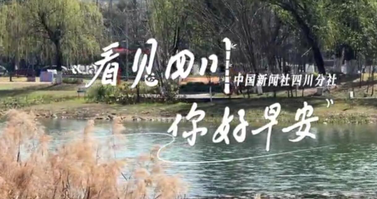 粉白花朵绽放在古寺院落