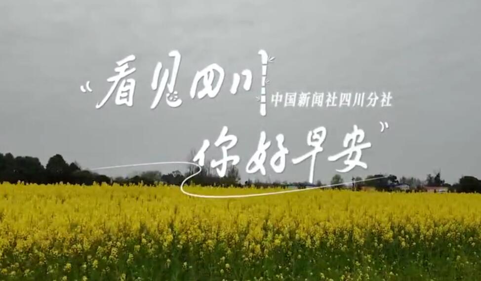 你好早安