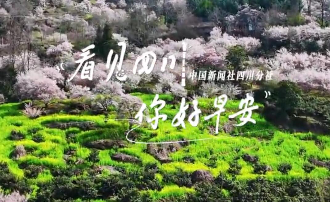 盈盈彩app下载限时优惠
