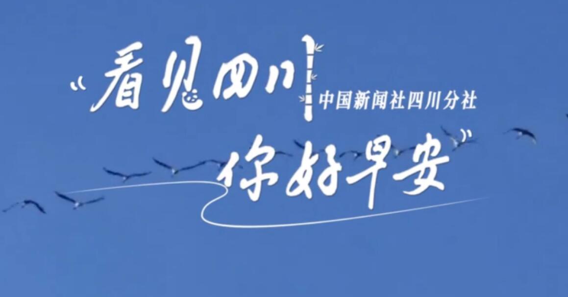 盈盈彩app下载限时优惠崇州黎坝村油