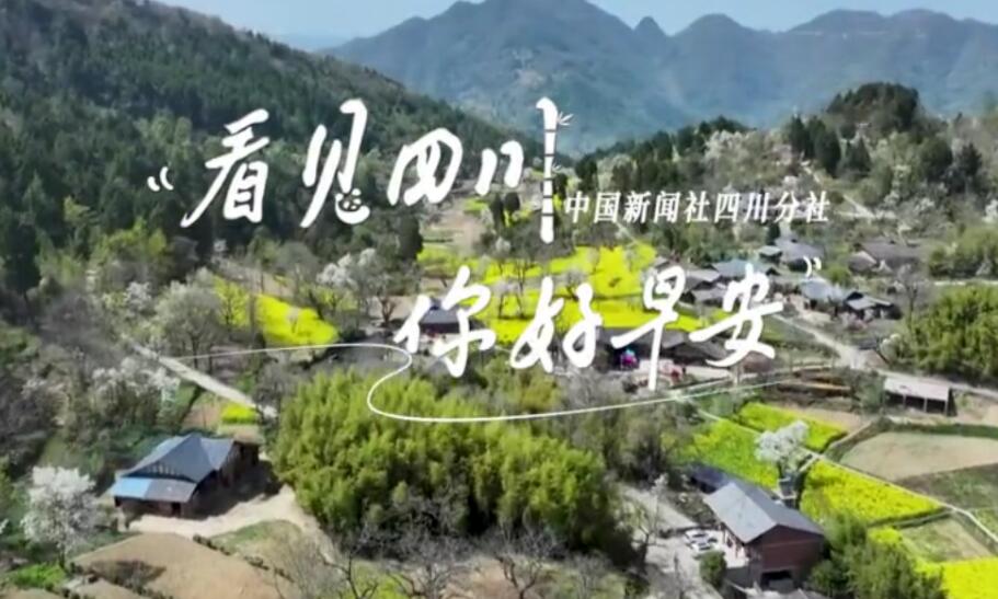 满足游客赏灯游玩的需求