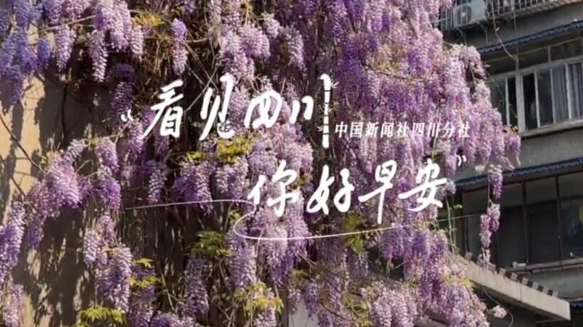 同题参见看见盈盈彩app下载限时优惠