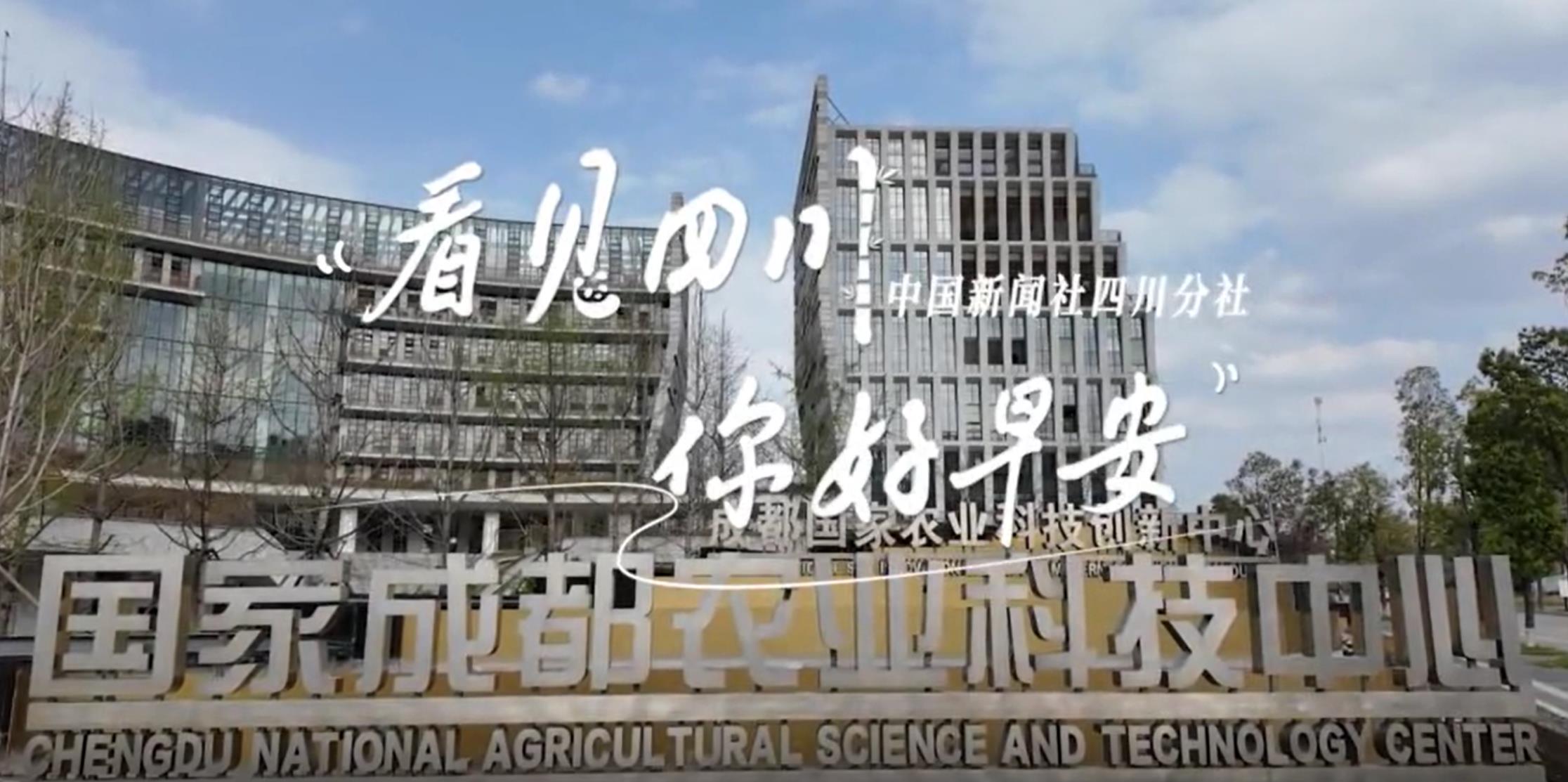 盈盈彩app官网