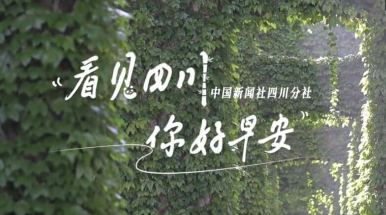 被誉为开往春天的嘉阳蒸汽小火车穿行在