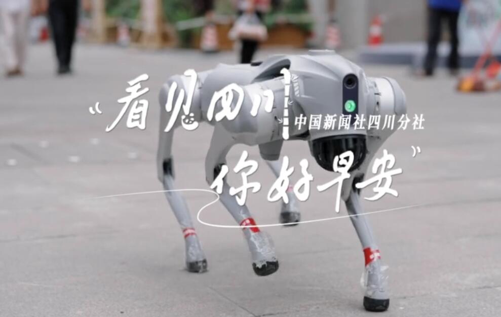 看见盈盈彩app下载限时优惠