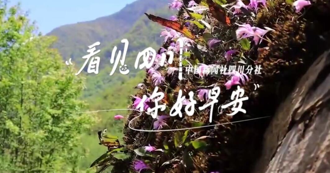位于盈盈彩app下载限时优惠市红星桥