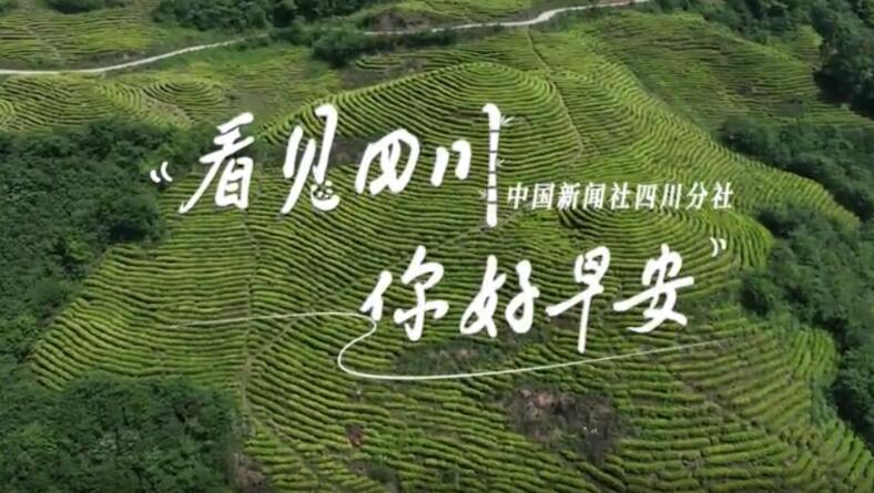 相关阅读看见盈盈彩app下载限时优惠
