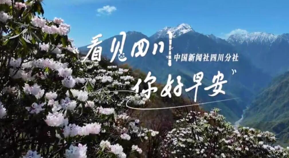 解说春日暖意渐浓