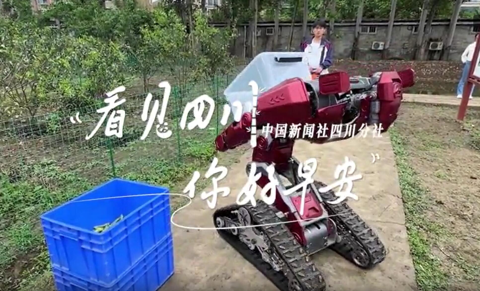 你好早安