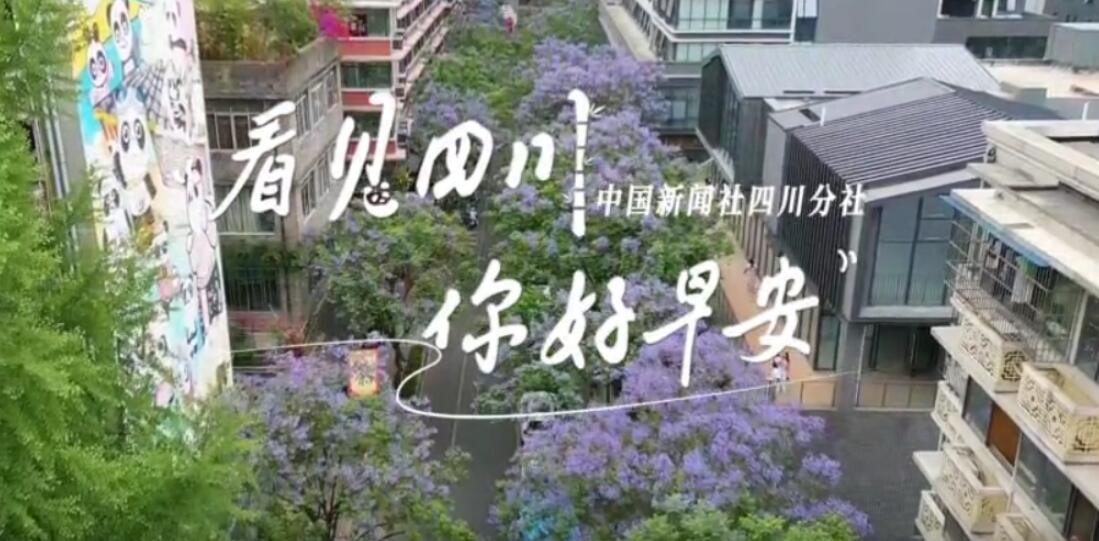 盈盈彩app下载限时优惠崇州黎坝村油