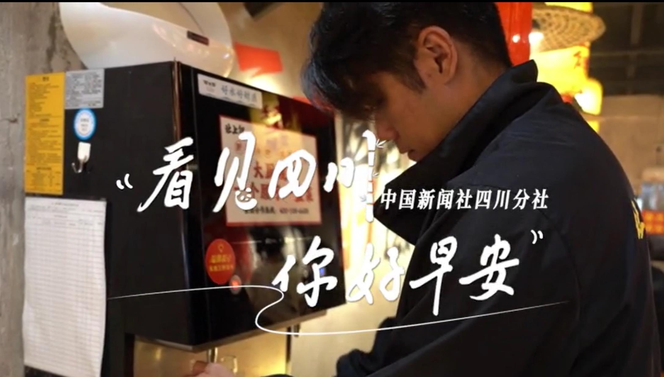 解说乐至县城市主干道的紫叶李花迎春绽
