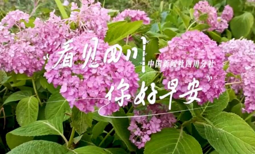 满足游客赏灯游玩的需求
