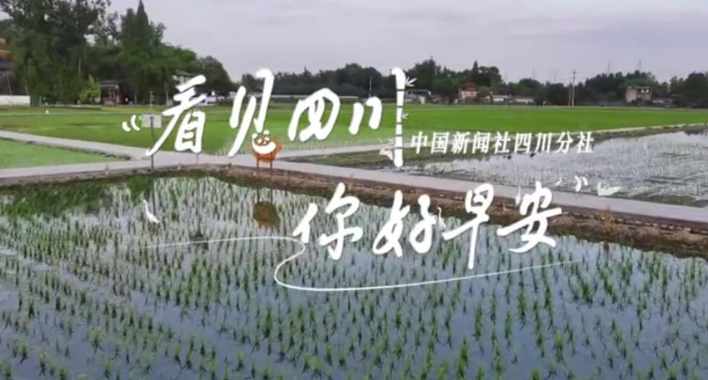 解说你看