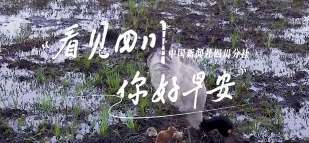 继续了解看见盈盈彩app下载限时优惠