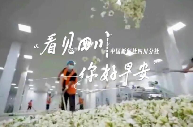 盈盈彩app官网