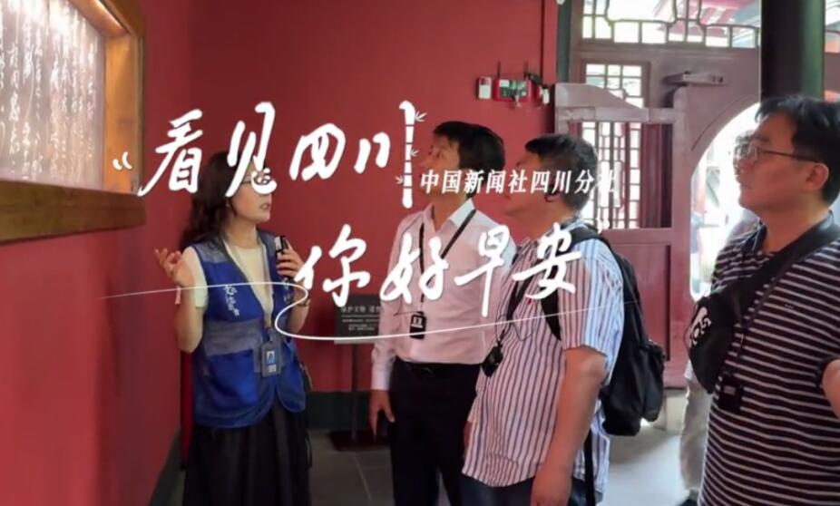 雅安雨城区茶山上的茶树正冒新芽