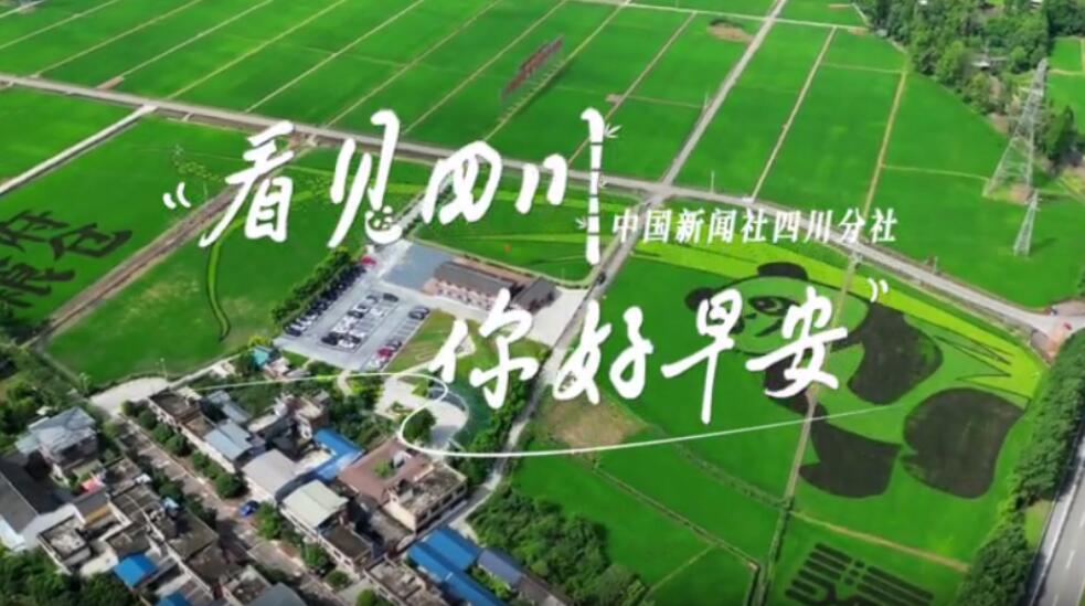 不少游客慕名前来乘坐和踏青赏花