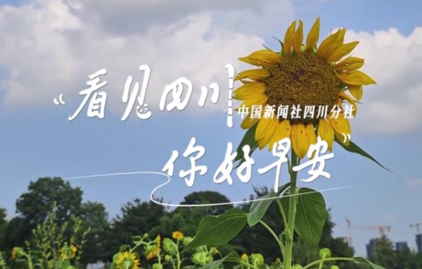 你好早安