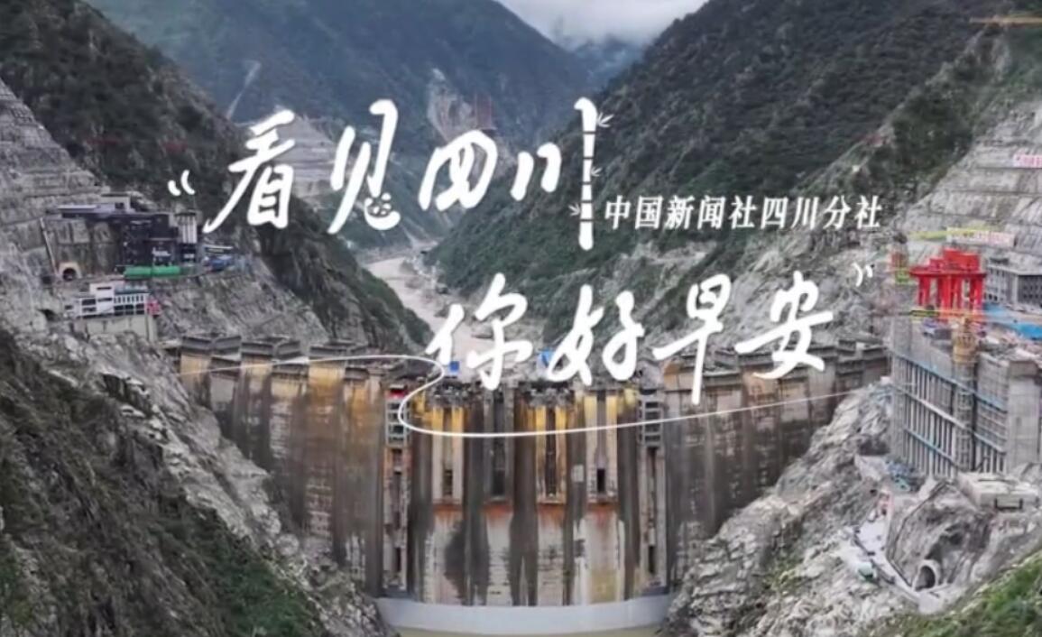 解说雅安市名山区的茶山迎来了最富生机