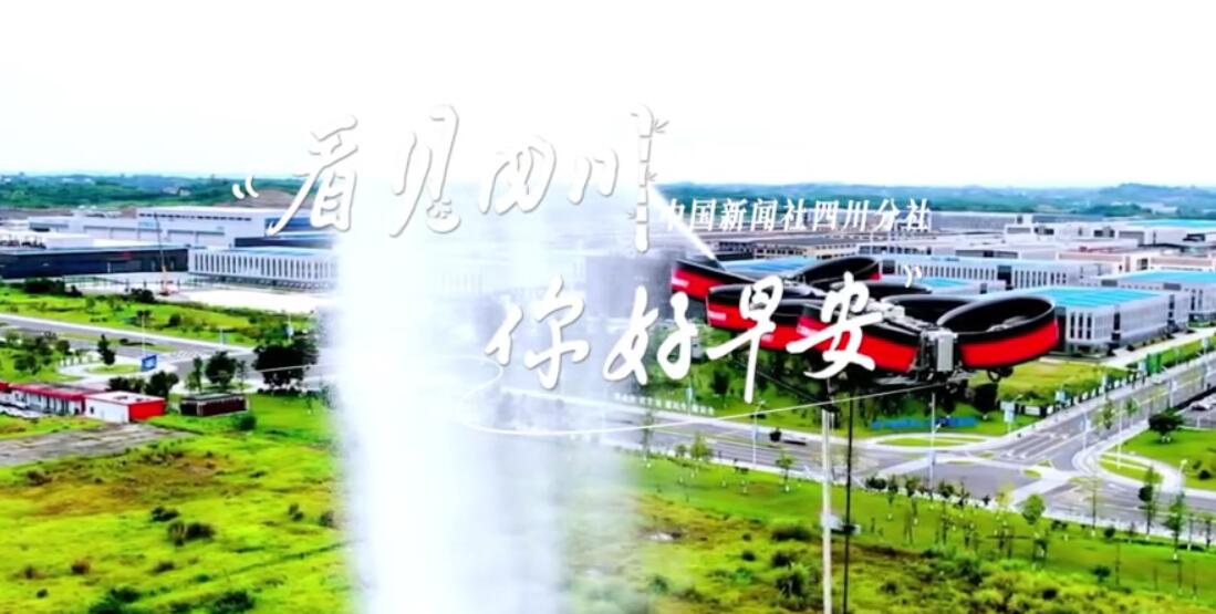 漫山遍野宛若雪海