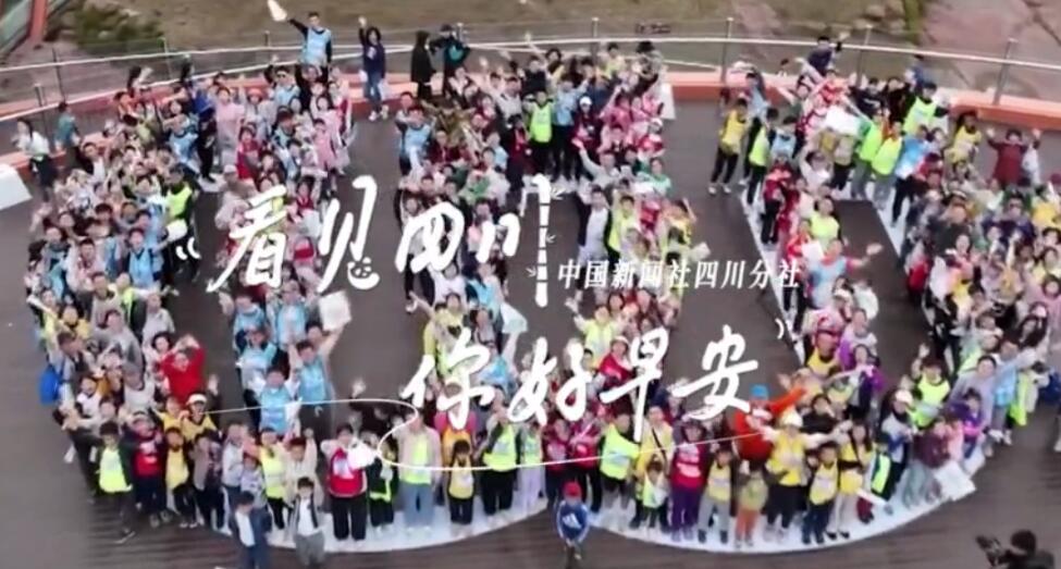 解说乐至县城市主干道的紫叶李花迎春绽