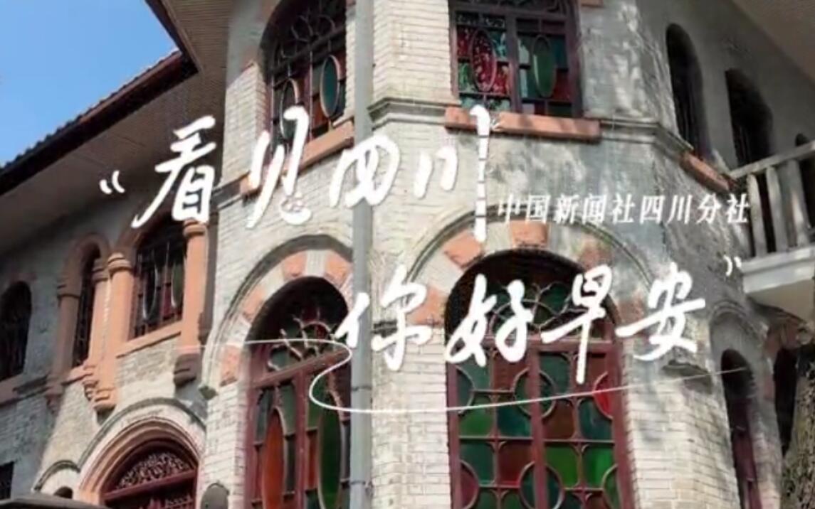 金山村温室大棚里黑褐饱满的羊肚菌破土