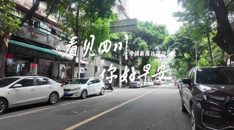 解说平武报恩寺百年玉兰迎来盛花期
