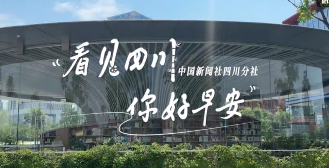 盈盈彩app官网