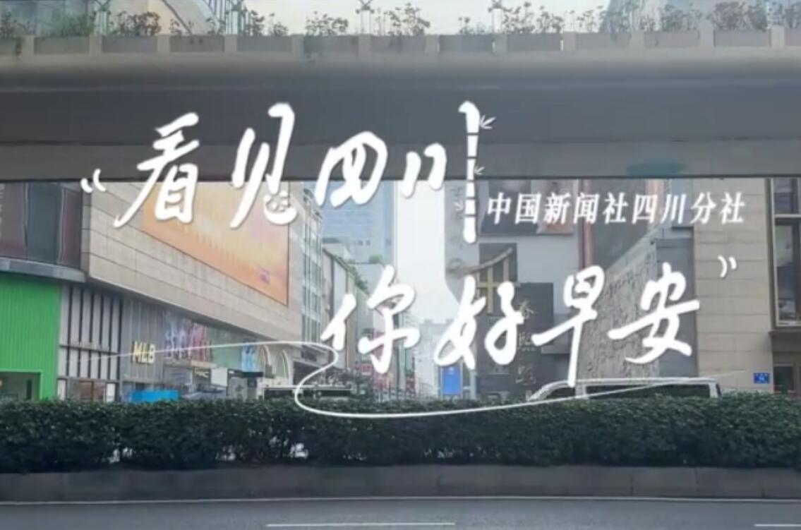 洁白的花朵缀满枝头