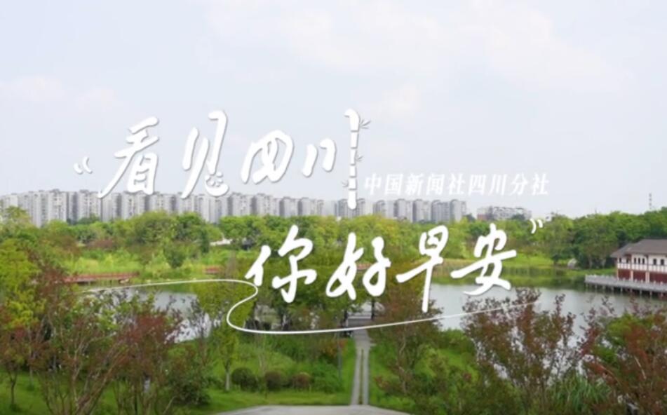 不少游客慕名前来乘坐和踏青赏花