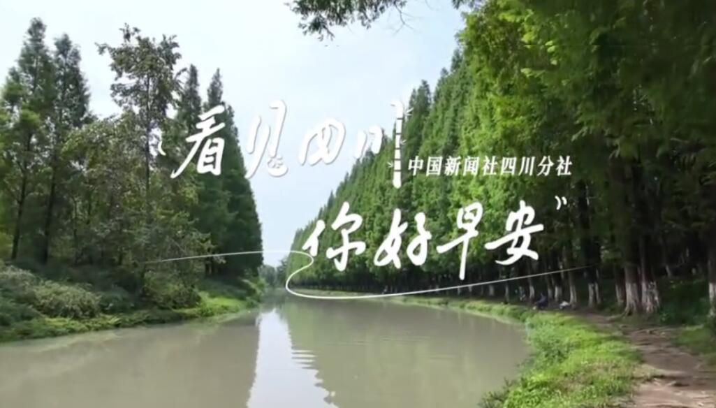被誉为开往春天的嘉阳蒸汽小火车穿行在