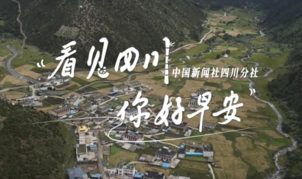 藏青面料绣彩纹