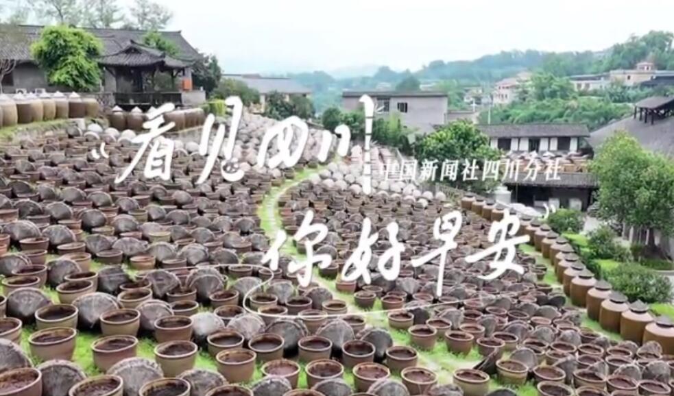 解说春日暖意渐浓