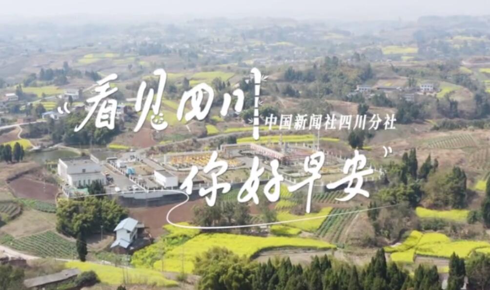 你好早安