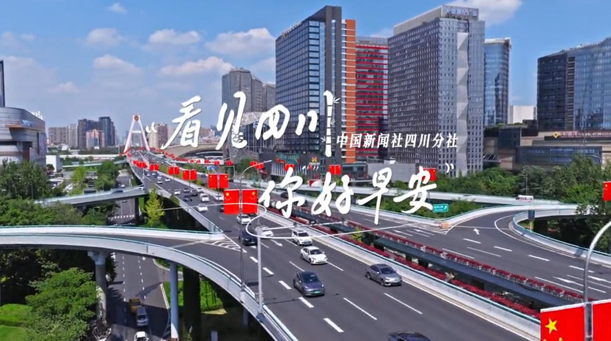 解说雅安市名山区的茶山迎来了最富生机