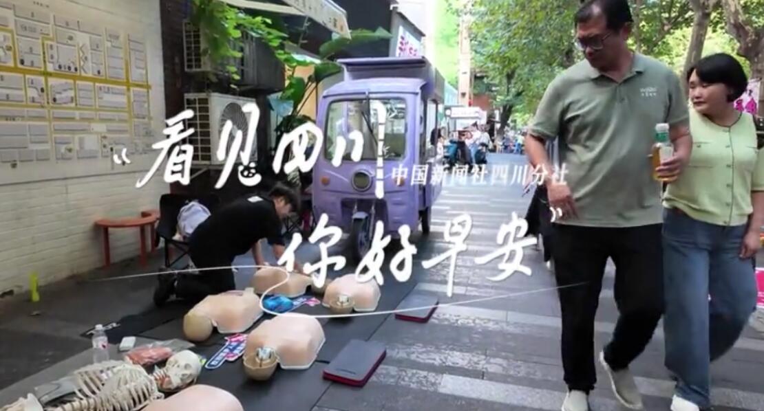 列车与盛放的油菜花构成一幅灵动的春日