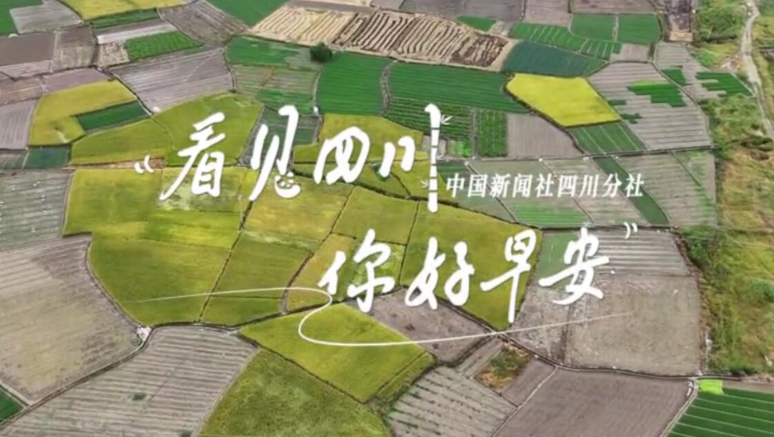 解说自贡灯会开启超长待机